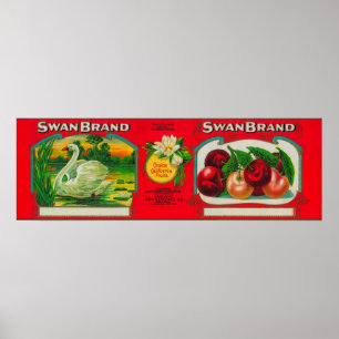 Póster Sello de cerezo de cisne Oakland, CA