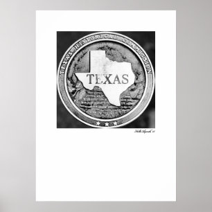 Póster Sello de la Sociedad Histórica de Texas en Bronce