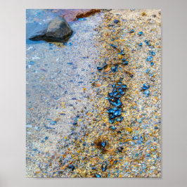 Póster Sellos de mejillones en Maine