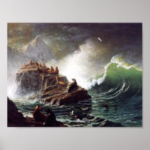 Póster Sellos en las rocas de Albert Biestadt