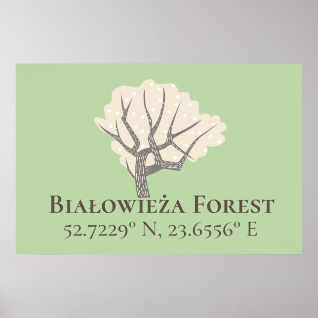 Póster Selva Białowieża Latitud y longitud (Frente)