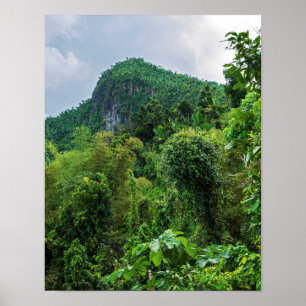 Póster Selva exuberante y pico El Yunque