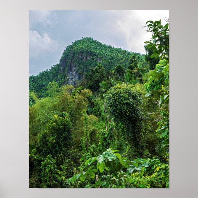 Póster Selva exuberante y pico El Yunque (Frente)