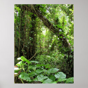 Póster Selva hawaiana