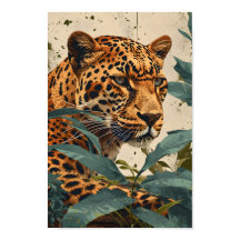 Selva leopardo: Vintage
