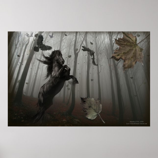 Póster Selva negra (Frente)