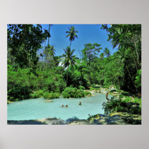 Póster Selva Siquijor