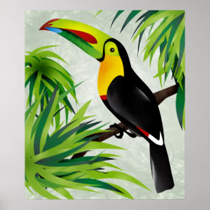 Póster Selva Toucan