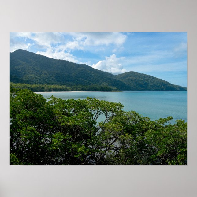 Póster Selva tropical Daintree en la tribulación del Cabo (Frente)