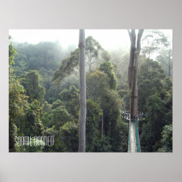 Póster Selva tropical de Borneo Treetops Walkway Sabah