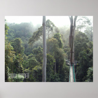 Póster Selva tropical de Borneo Treetops Walkway Sabah