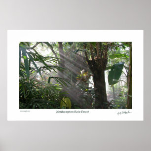 Póster Selva tropical de Northampton III