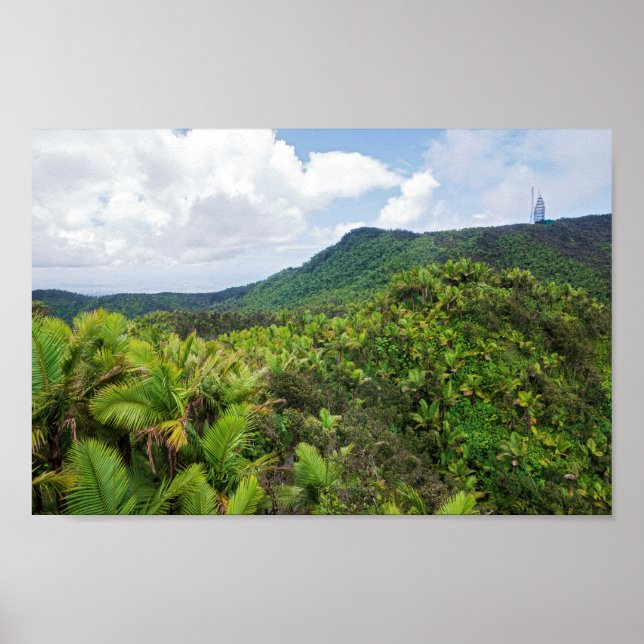 Póster Selva tropical El Yunque y torre de comunicaciones (Frente)
