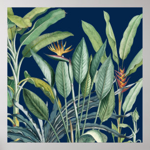 Póster Selva tropical verde árbol plátano estrelitzia