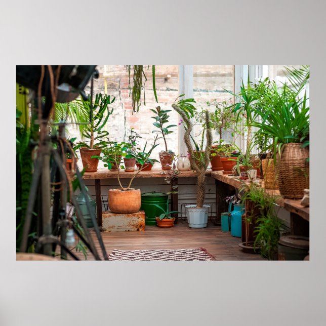 Póster Selva urbana. Jardín de invierno con plantas, flor (Frente)