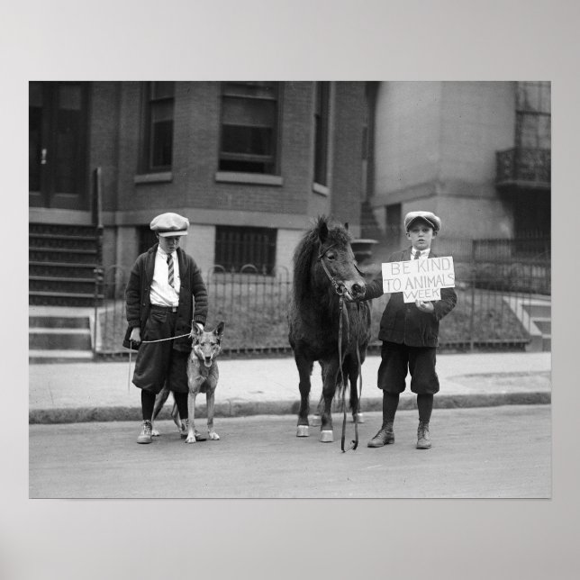 Póster Semana de ser amable con los animales, 1923. Foto  (Frente)