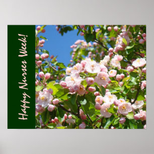 Póster ¡Semana feliz de las enfermeras! el cuidado de las