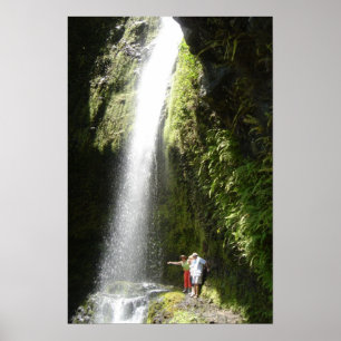 Póster Sembrando tus dragones