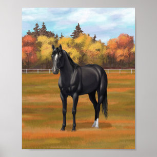 Póster Semental Cuarto de Milla Negro Hermoso