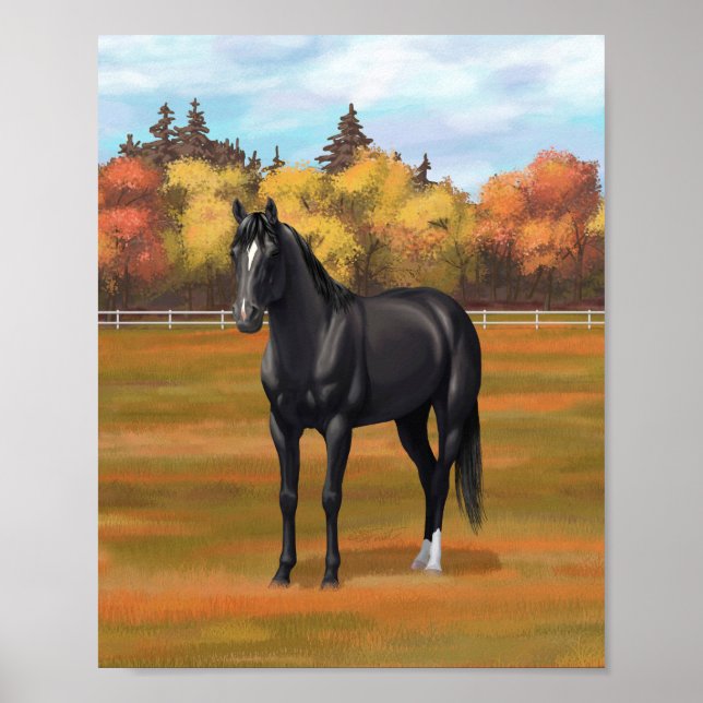 Póster Semental Cuarto de Milla Negro Hermoso (Frente)