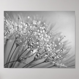 Póster Semilla de Dandelion con pared de cascada Art. 2