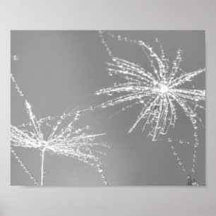 Póster Semilla de Dandelion con pared de cascada Art. 3