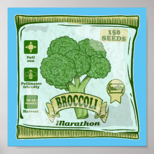 Póster Semillas de brócoli hortalizas