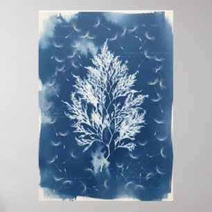 Póster Semillas de Diente de León de Algas Marinas Prensa