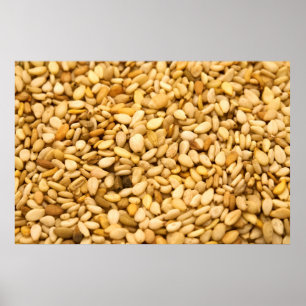 Póster Semillas de Sésamo