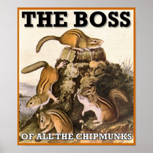 Póster Señal El Jefe De Todos Los Chipmunks