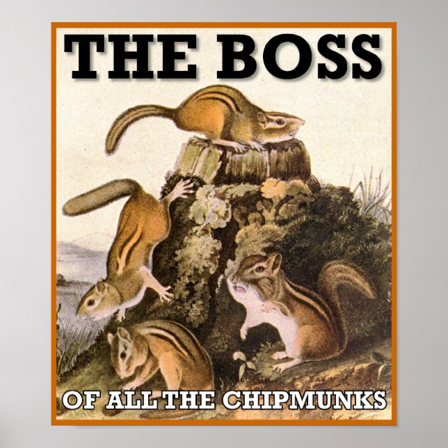 Póster Señal El Jefe De Todos Los Chipmunks (Frente)