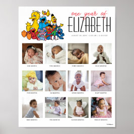 Póster Sencillo Barrio Sésamo Un año de 12 meses