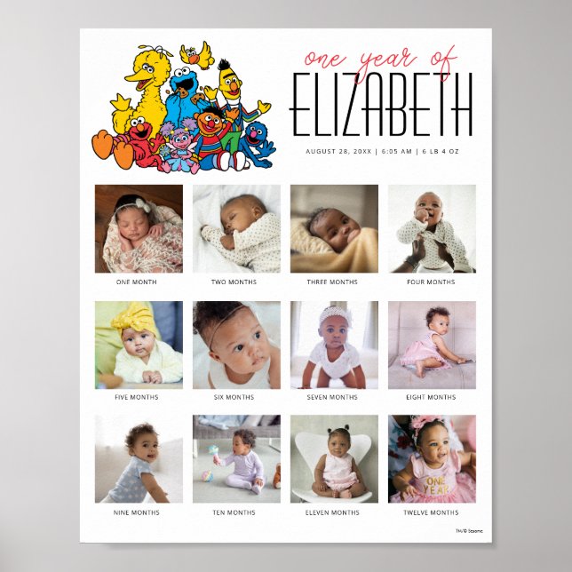 Póster Sencillo Barrio Sésamo Un año de 12 meses (Frente)