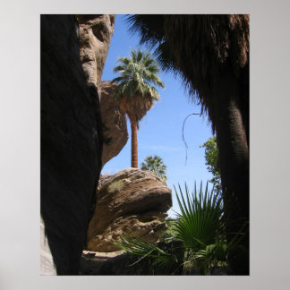 Póster Senderismo en el cañón indio, Palm Springs, CA, de