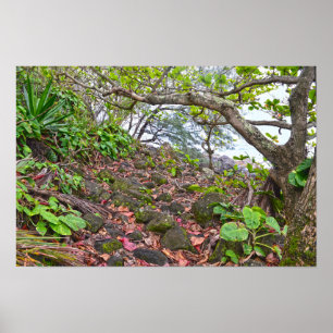 Póster Senderismo en el sendero de Kalalau, costa de Napa