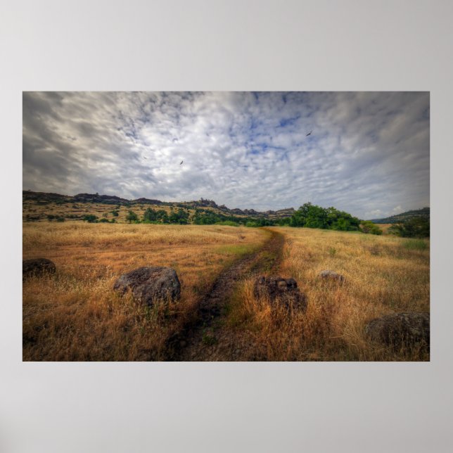 Póster Sendero (Frente)