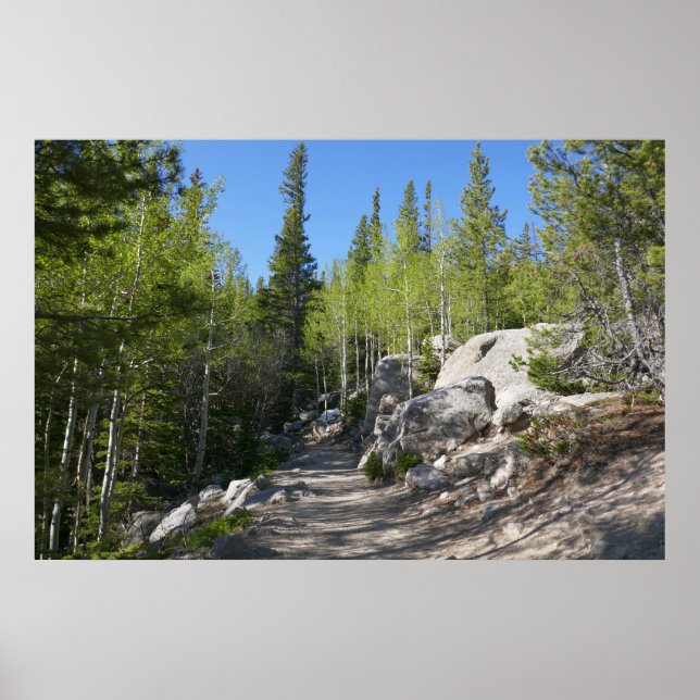 Póster Sendero a Alberta Falls (Frente)