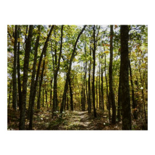 Póster Sendero Apalache en octubre en Shenandoah