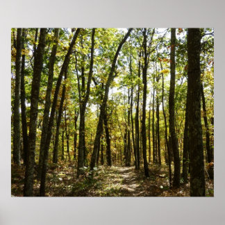 Póster Sendero Apalache en octubre en Shenandoah