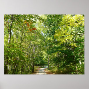 Póster Sendero Arbolado Centenario I Ellicott City Nature