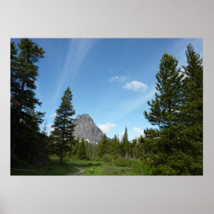 Póster Sendero Aster Park en el Parque Nacional Glacier