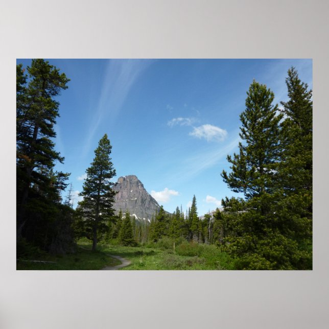 Póster Sendero Aster Park en el Parque Nacional Glacier (Frente)