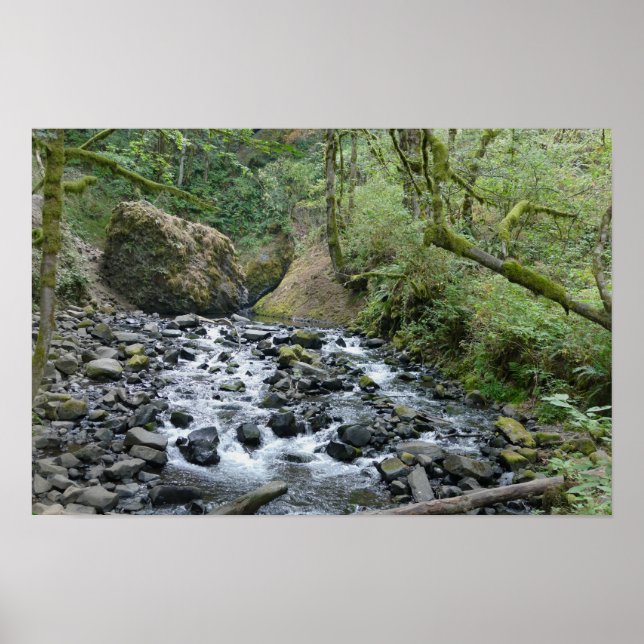 Póster Sendero Bridal Veil Falls, Oregon (Frente)