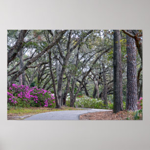 Póster Sendero Charles Town Landing, Carolina del Sur