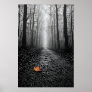 Póster Sendero de Bosque Brumoso Color Selectivo