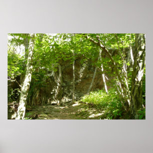Póster Sendero de Descubrimiento Frazier en Shenandoah Fo