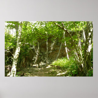 Póster Sendero de Descubrimiento Frazier en Shenandoah Fo