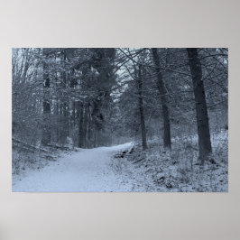 Póster Sendero de excursión cubierto de nieve 1