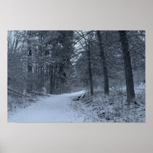 Póster Sendero de excursión cubierto de nieve 1