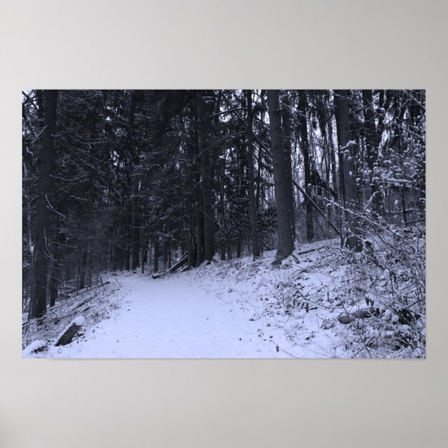 Póster Sendero de excursión cubierto de nieve 2 (Frente)